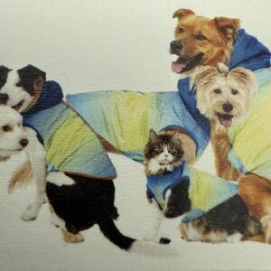 Dog/Cat‎ Jacket Ombré Blue/green Size M Vibrant Life